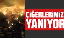 Bursa'da orman yangını yerleşim yerlerine sıçradı