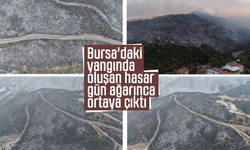 Bursa'daki yangında oluşan hasar gün ağarınca ortaya çıktı