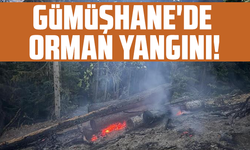 Gümüşhane'de orman yangını!