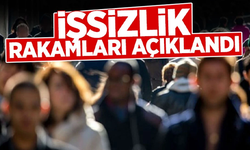 İşsizlik rakamları belli oldu