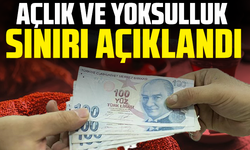 Türkiye'nin güncel açlık ve yoksulluk sınırı açıklandı