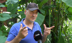 Rizeli'nin muz inadı