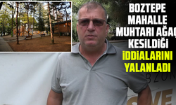 Boztepe Mahalle Muhtarı ağaç kesildiği iddialarını yalanladı