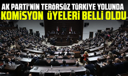 AK Parti'nin Terörsüz Türkiye yolunda komisyon üyeleri belli oldu