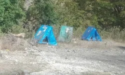 Düzce Yığılca’da sokak hayvanlarına hayvanseverlerden kulübe desteği