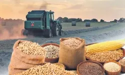 Tarımsal ürün fiyatları ve endekslerde yükseliş