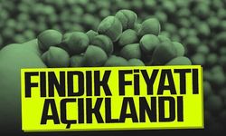 Fındık alım fiyatı belli oldu