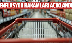 Temmuz ayı enflasyonu belli oldu!