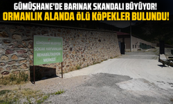 Gümüşhane’de Barınak Skandalı Büyüyor! Ormanlık alanda ölü köpekler bulundu!