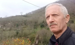 Giresun'da armut ağacından düşen adam öldü