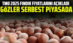 TMO 2025 fındık fiyatlarını açıkladı, gözler serbest piyasada