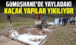 Gümüşhane'de yayladaki kaçak yapılar yıkılıyor