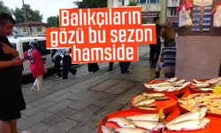 Balıkçıların gözü bu sezon hamside