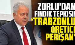 Zorlu'dan fındık tepkisi! "Trabzonlu üretici perişan"
