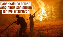 Çanakkale'de orman yangınında son durum: Tahliyeler sürüyor