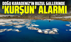 Doğu Karadeniz'in buzul göllerinde 'Kurşun' alarmı