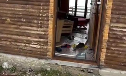 Aç kalan ayılar turistlerin konakladığı bungalovlara dadandı