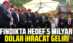 Fındıkta hedef 5 milyar dolar ihracat geliri