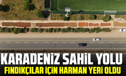Karadeniz Sahil Yolu fındıkçılar için harman yeri oldu