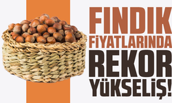 Fındık fiyatlarında rekor yükseliş!