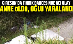 Giresun’da fındık bahçesinde acı olay: Anne öldü, oğlu yaralandı