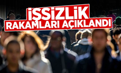 TÜİK açıkladı: İşsizlik rakamları belli oldu