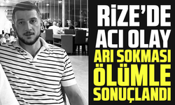 Rize'de acı olay: Arı sokması ölümle sonuçlandı