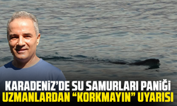 Karadeniz’de su samurları paniği: Uzmanlardan “Korkmayın” uyarısı