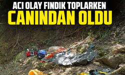 Acı olay fındık toplarken canından oldu