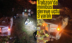 Trabzon'da minibüs dereye uçtu: 3 yaralı