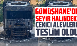 Seyir halindeki çekici alevlere teslim oldu