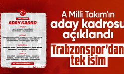 A Milli takım kadrosu açıklandı! Trabzonspor'dan tek isim