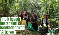 Fındık hasadı hastaneleri hareketlendirdi! “Artış var”