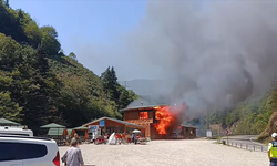 Giresun’un gözde tabiat parkında yangın felaketi