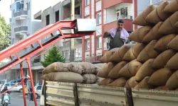 İşte fındık fiyatlarında son durum