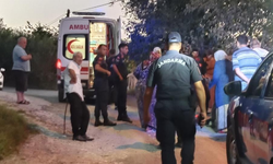 Ordu'da virajı alamayan patpat devrildi: 2'si çocuk 6 yaralı