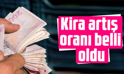 TÜİK enflasyon verilerini açıkladı: Kira artış oranı belli oldu