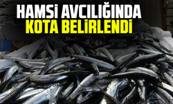 Hamsi avcılığında kota belirlendi