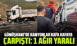 Gümüşhane'de kamyonlar kafa kafaya çarpıştı: 1 ağır yaralı