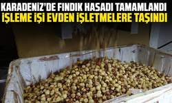 Karadeniz’de fındık hasadı tamamlandı: İşleme işi evden işletmelere taşındı