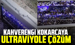 Kahverengi kokarcaya ultraviyole çözüm