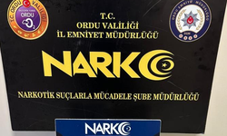 Ordu'da uyuşturucu operasyonları: 1 tutuklama