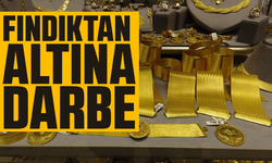 Fındıktan altına darbe