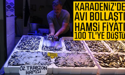 Karadeniz'de avı bollaştı, hamsi fiyatı 100 TL'ye düştü