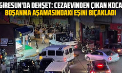 Giresun’da dehşet: Cezaevinden çıkan koca, boşanma aşamasındaki eşini bıçakladı