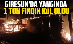 Giresun'da yangında 1 ton fındık kül oldu