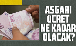 Asgari ücret ne kadar olacak?