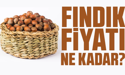Fındık fiyatı ne kadar?