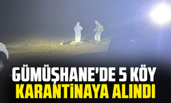 Gümüşhane'de 5 köy karantinaya alındı