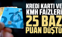 Kredi kartı ve kredili mevduat faiz oranlarında değişiklik
